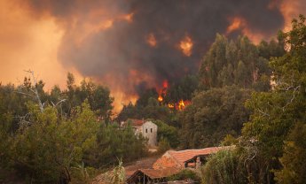 Πυρκαγιά από Δάσος: Τι προβλέπει η νομοθεσία για την ασφάλιση κατοικίας;