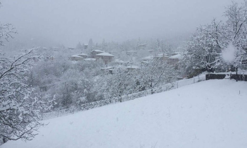 Κάλαντα Πρωτοχρονιάς από το Τριγωνικό Κοζάνης