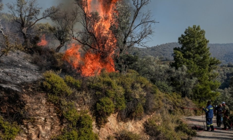 Φωτιά στην Αργολίδα και την Λεωφόρο Κερατέας - Αναβύσσου!