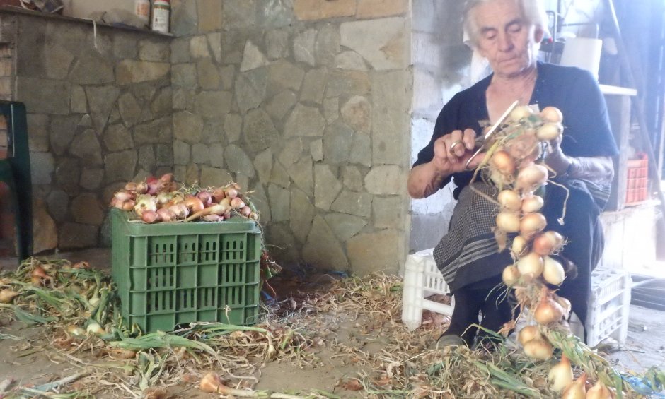 Ηλίας Προβόπουλος: Τιμή για την γυναίκα αγρότισσα!