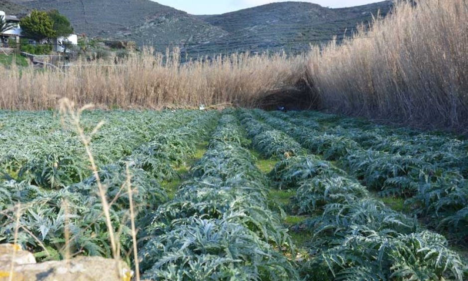 Η γεωργία ως αποστολή