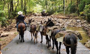 Ηλίας Προβόπουλος: Τα μουλάρια και οι καταστροφές!