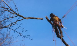 Ασφαλιστές προσέξτε μη σας κόψουν το κλαδί που πατάτε!