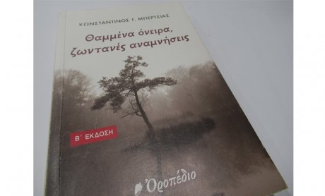 Νόστος για μια πνιγμένη πατρίδα, του Ηλία Προβόπουλου