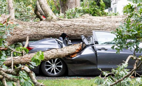 Θυελλώδεις άνεμοι: Πως αποζημιώνομαι από πτώση δέντρων στο αυτοκίνητό μου; 