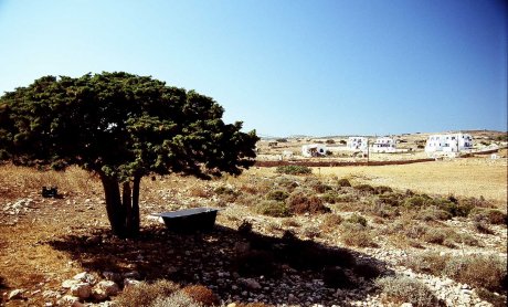 Ηλίας Προβόπουλος: Η μπανιέρα που έγινε πισίνα!