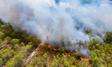 Πόσες δασικές και πόσες αστικές πυρκαγιές συνέβησαν το 2023 στην Ελλάδα και πως προστατεύεται ο πολίτης;