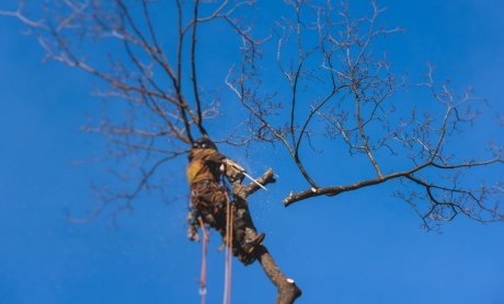 Ασφαλιστές προσέξτε μη σας κόψουν το κλαδί που πατάτε!