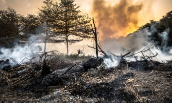 Χανιά: Συνελήφθη άνδρας για εμπρησμό από αμέλεια!